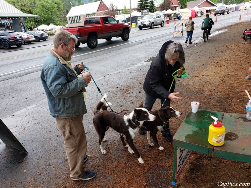 Photos: 2019 Packwood Memorial Day Weekend Flea Market 120