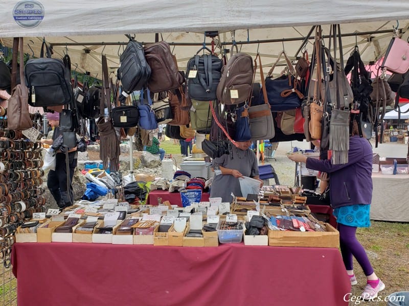 Photos: 2019 Packwood Memorial Day Weekend Flea Market 173