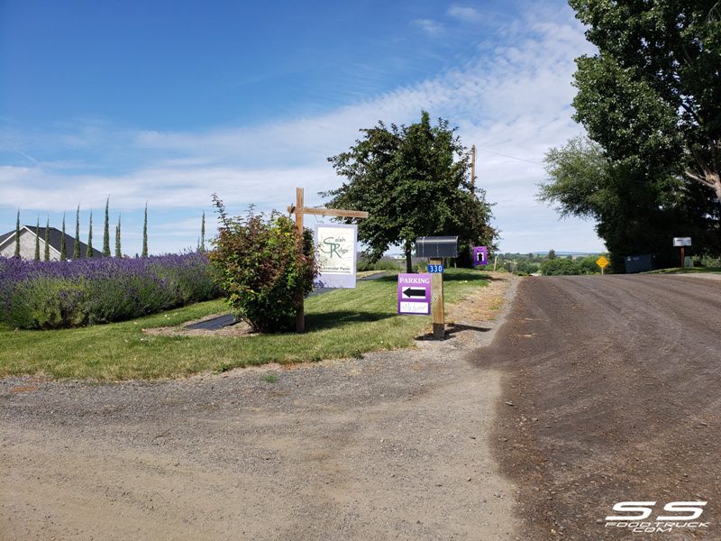 Lavender Harvest Days