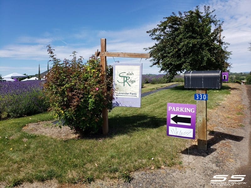 Photos: Lavender Harvest Days 2019 1