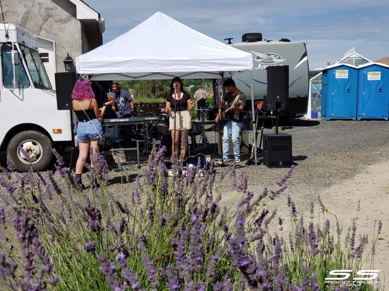 Photos: Lavender Harvest Days 2019 14