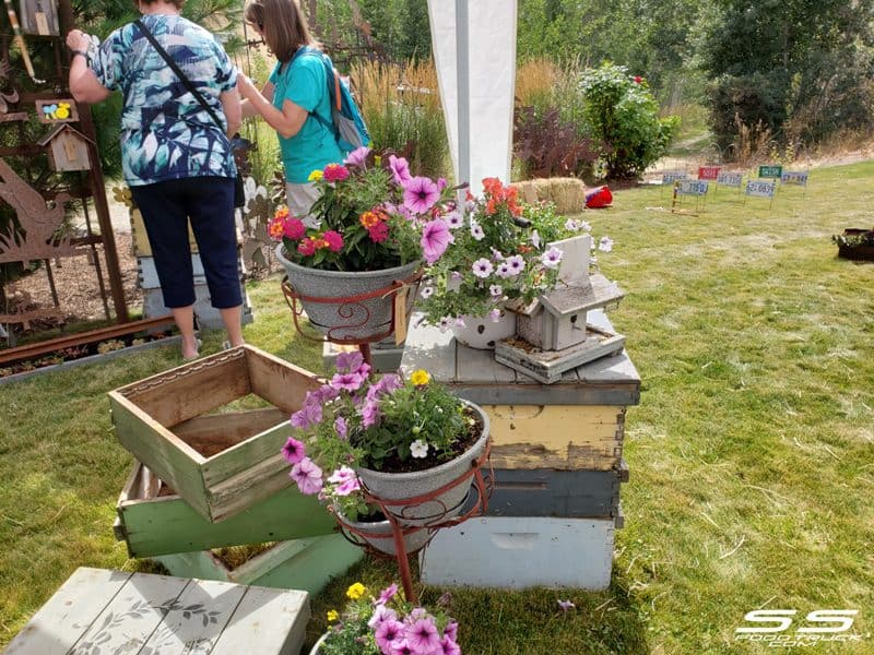 Photos: Lavender Harvest Days 2019 19