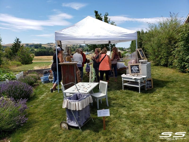 Photos: Lavender Harvest Days 2019 26