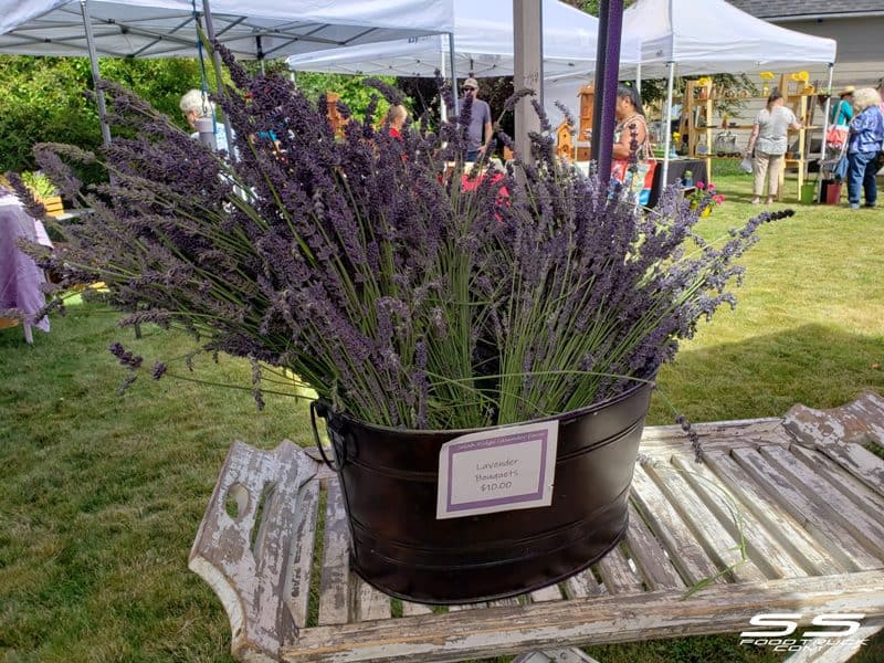 Photos: Lavender Harvest Days 2019 58