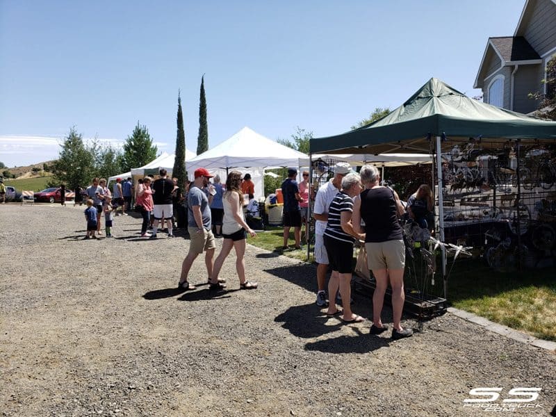 Photos: Lavender Harvest Days 2019 86