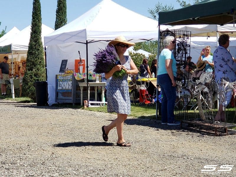 Photos: Lavender Harvest Days 2019 92