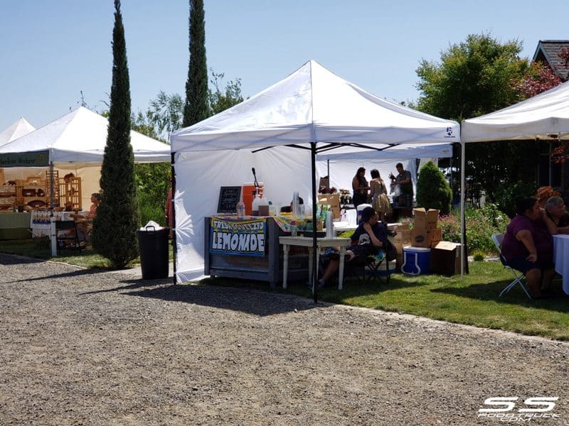 Photos: Lavender Harvest Days 2019 104