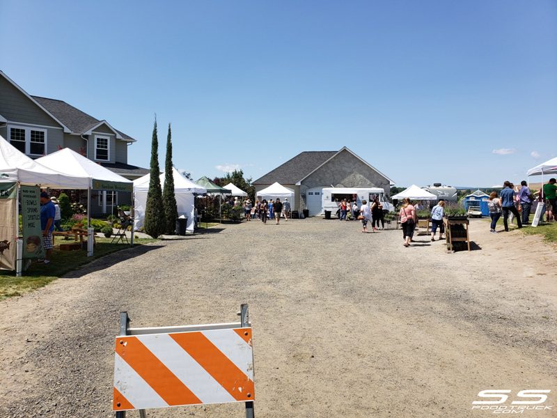 Photos: Lavender Harvest Days 2019 106