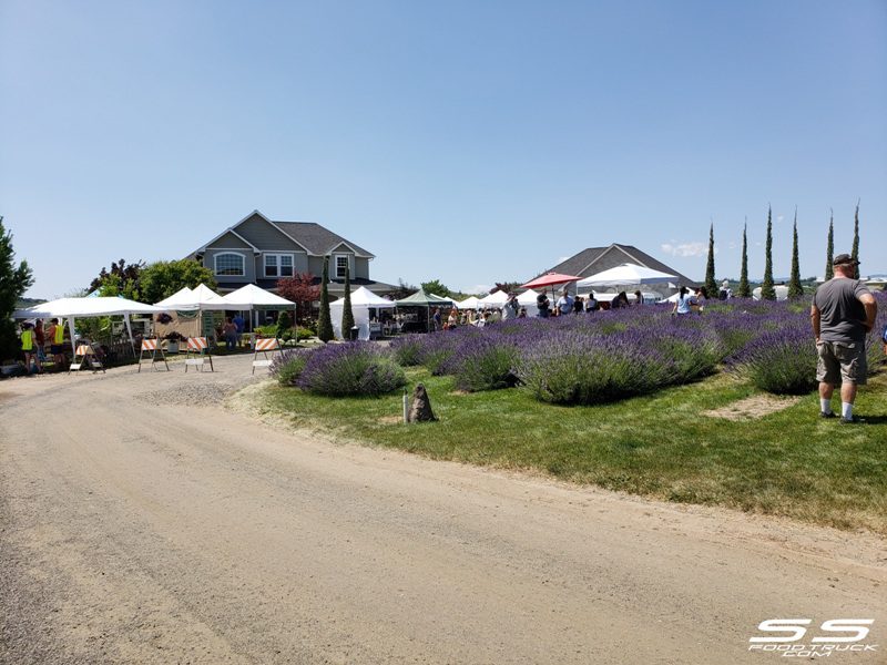 Photos: Lavender Harvest Days 2019 108