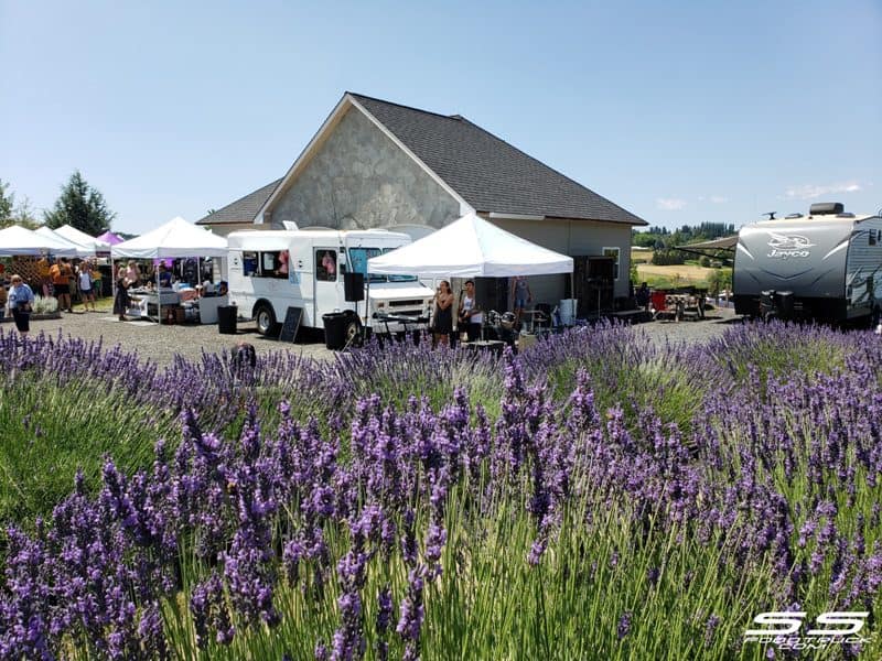 Photos: Lavender Harvest Days 2019 114