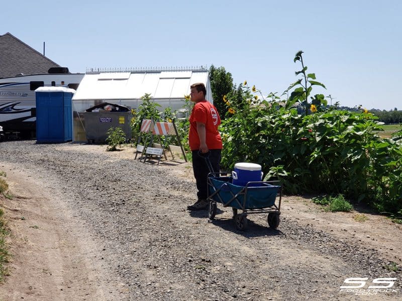 Photos: Lavender Harvest Days 2019 119