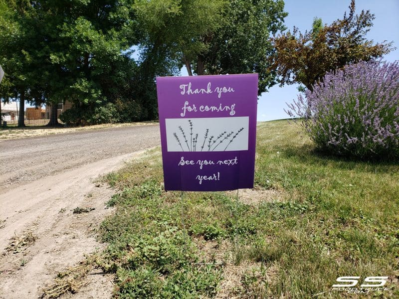 Photos: Lavender Harvest Days 2019 123