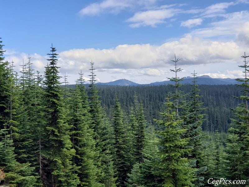 Photos: LSOC Wild Winger (Raven Roost & Naches Trail) 25