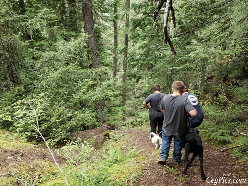 Photos: LSOC Wild Winger (Raven Roost & Naches Trail) 33