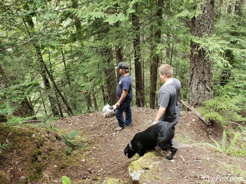 Photos: LSOC Wild Winger (Raven Roost & Naches Trail) 34