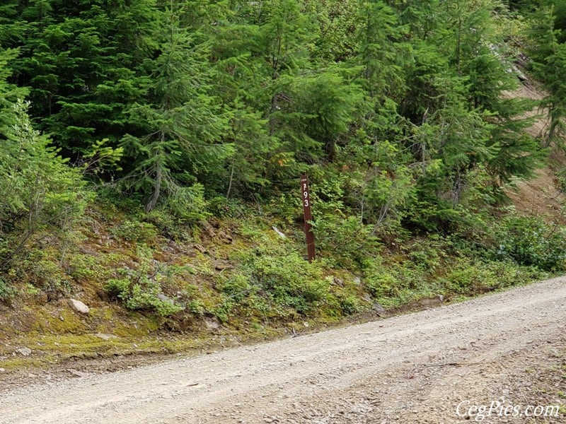 Photos: LSOC Wild Winger (Raven Roost & Naches Trail) 54