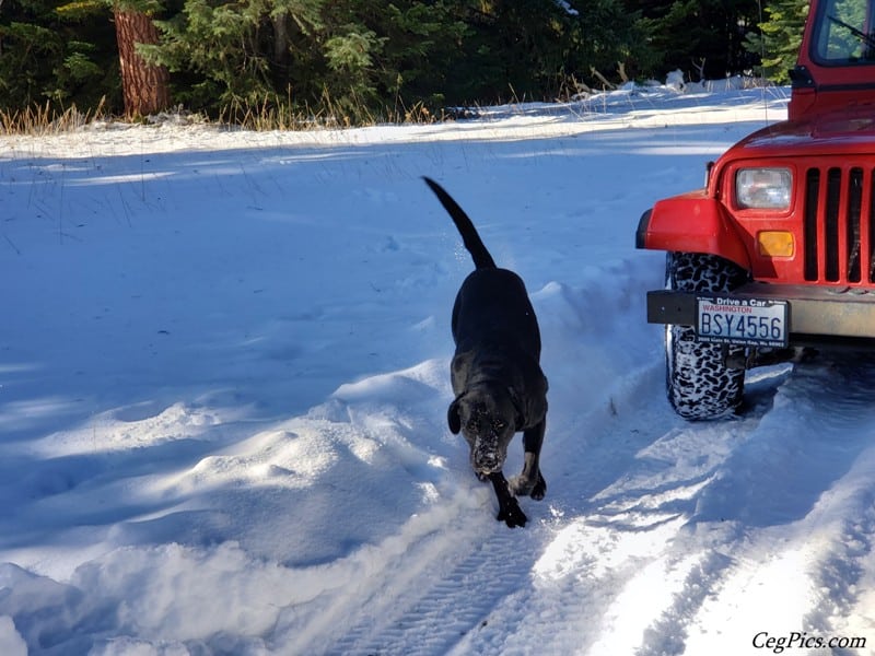 Photos: Liberty State Overland Club Christmas Tree 4×4 Trip 42