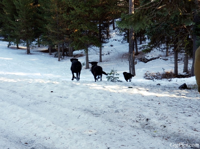 Photos: EWE Sledding Trip at Rimrock 44