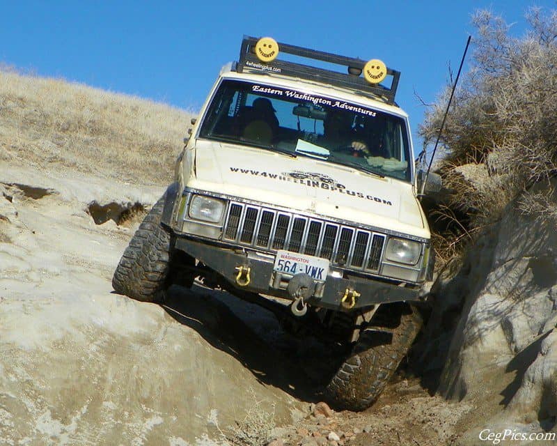 Tweety Jeep