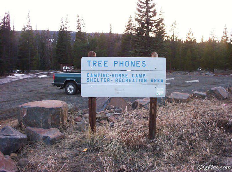 Tree Phones