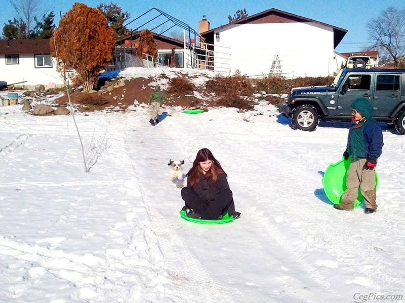 Sledding at Graham Family Farm