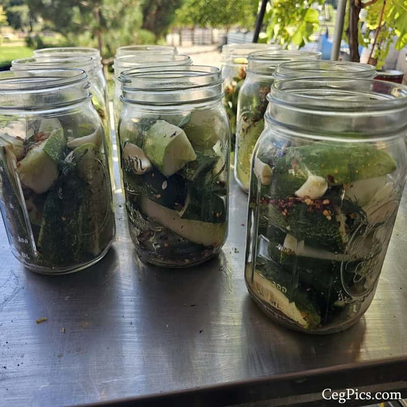 Graham Family Farm NW: Sunday Canning! 2