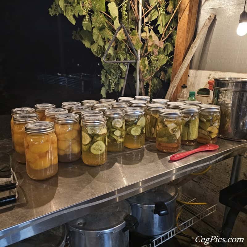 Graham Family Farm NW: Sunday Canning! 3