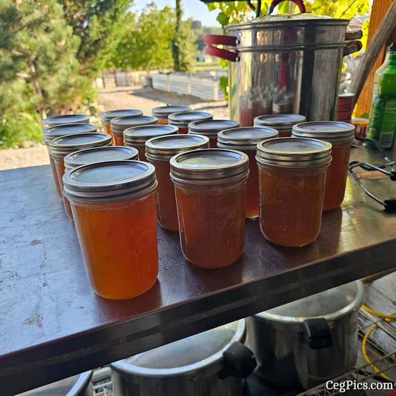 Graham Family Farm NW: The Ladies Made Peach Jam 6 peach jam