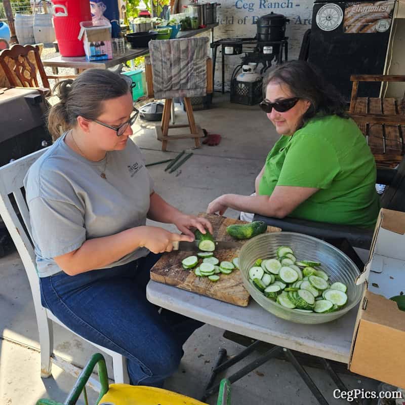 homemade pickles