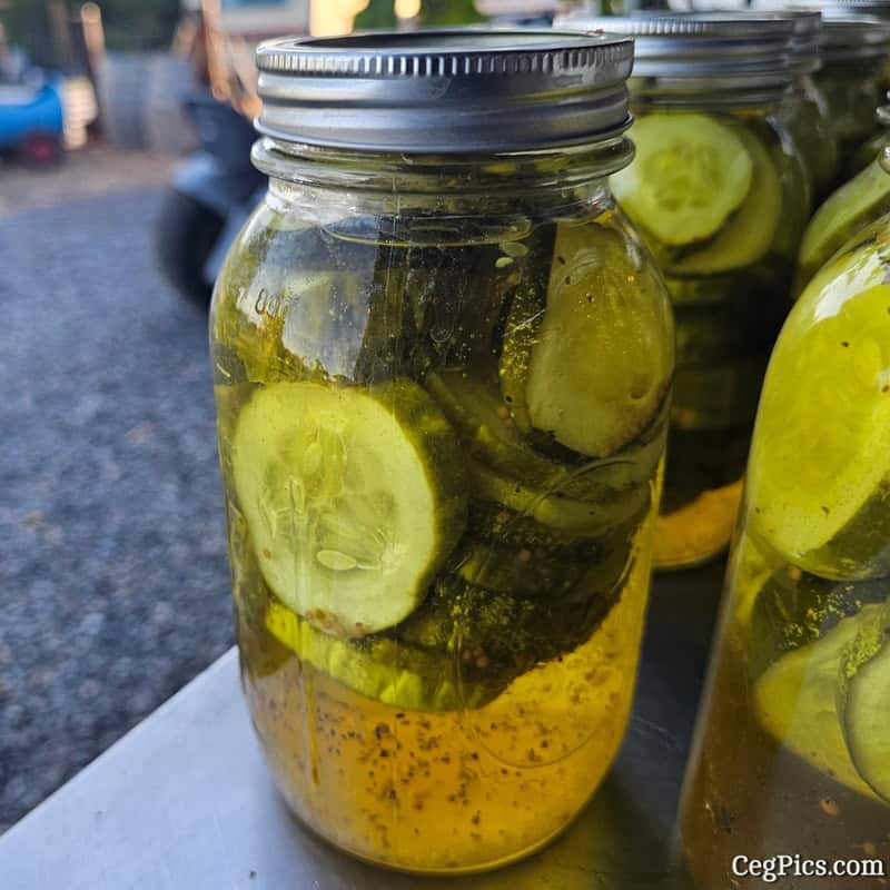Graham Family Farm NW: Canned More Pickles 4 Graham Family Farm NW: Canned More Pickles 3