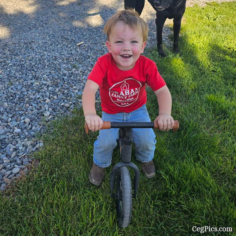 Graham Family Farm NW 2T T-shirts 1 Graham Family Farm NW 2t t-shirts