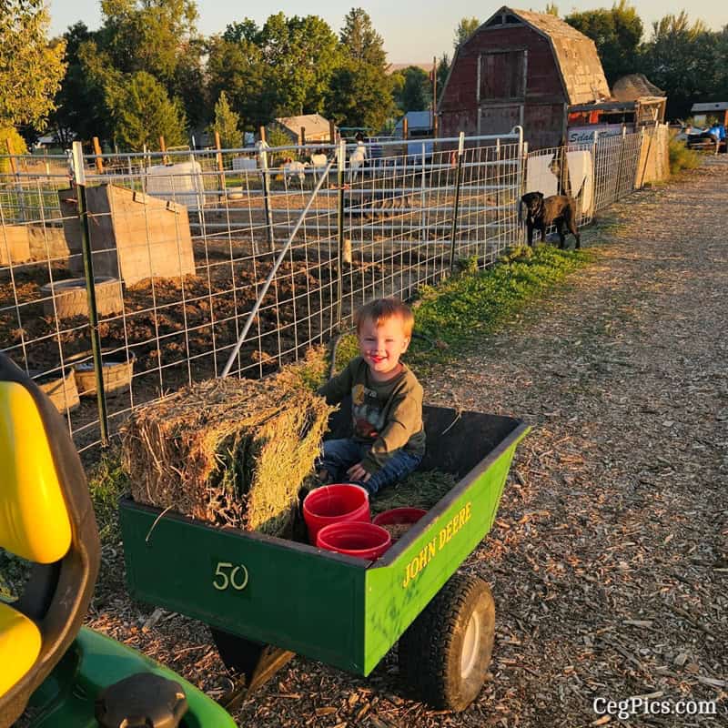 Graham Family Farm NW: CJ the Farmhand 1