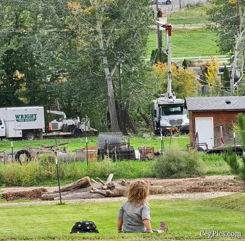 Graham Family Farm NW: Cecil watching a Man in the Air 4