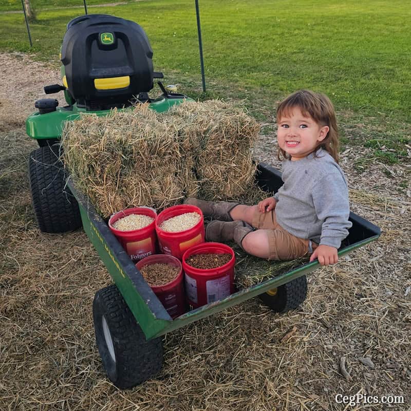 Graham Family Farm NW: Feeding with Cecil 1