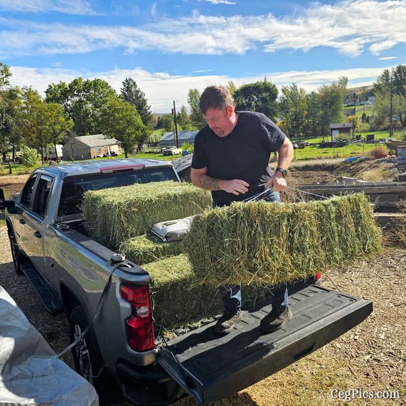 Graham Family Farm NW: Hay & Grain from Yakima Co-op 2