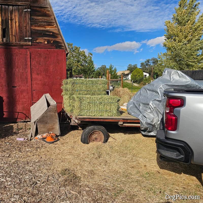 Graham Family Farm NW: Hay & Grain from Yakima Co-op 3